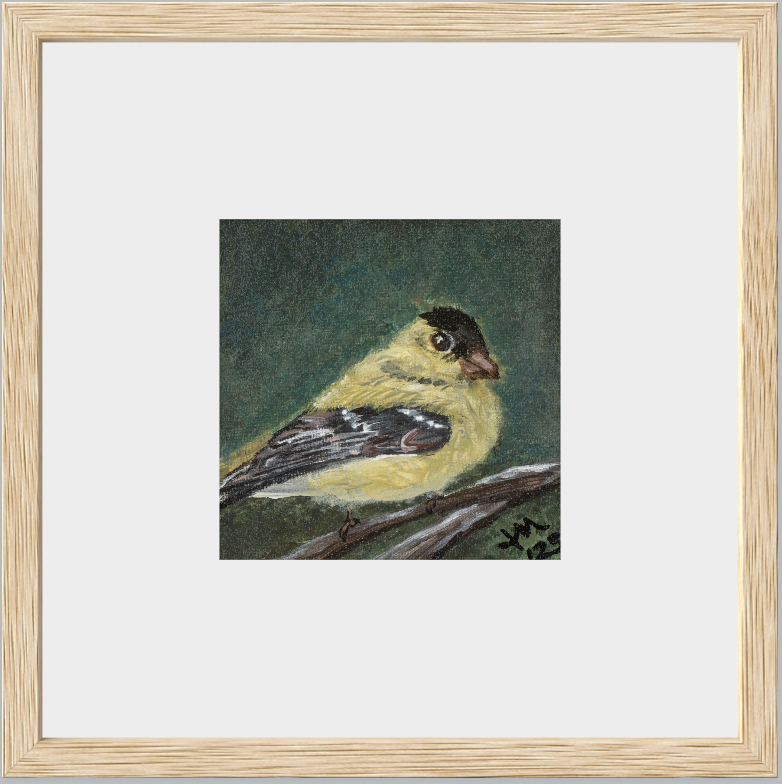 The Golden Joy (Goldfinch)