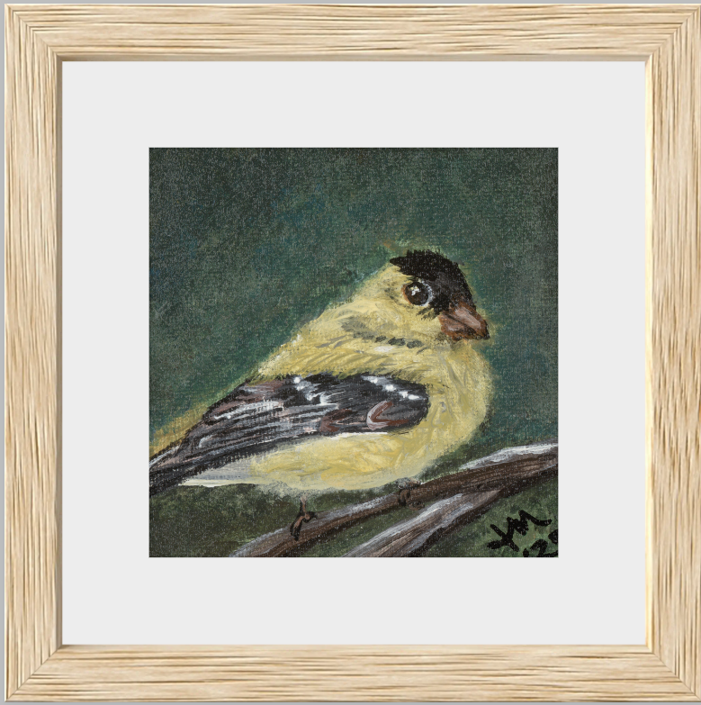 The Golden Joy (Goldfinch)