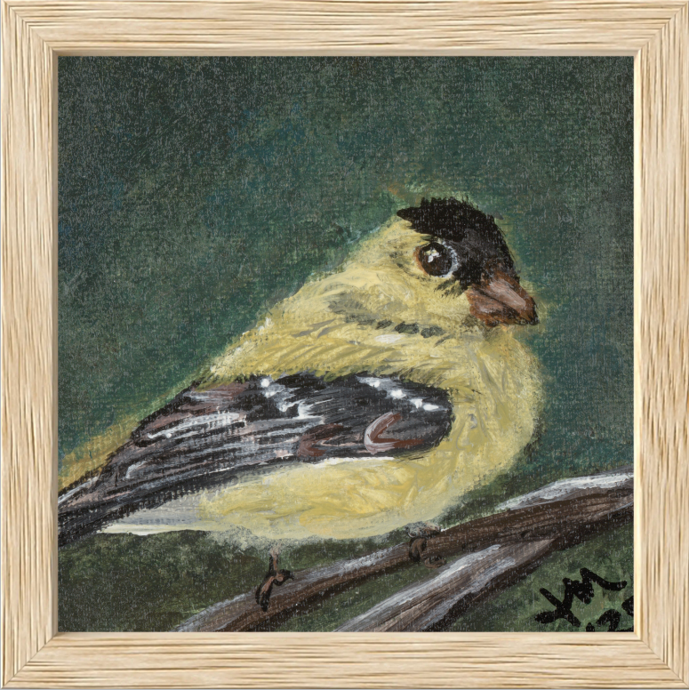 The Golden Joy (Goldfinch)