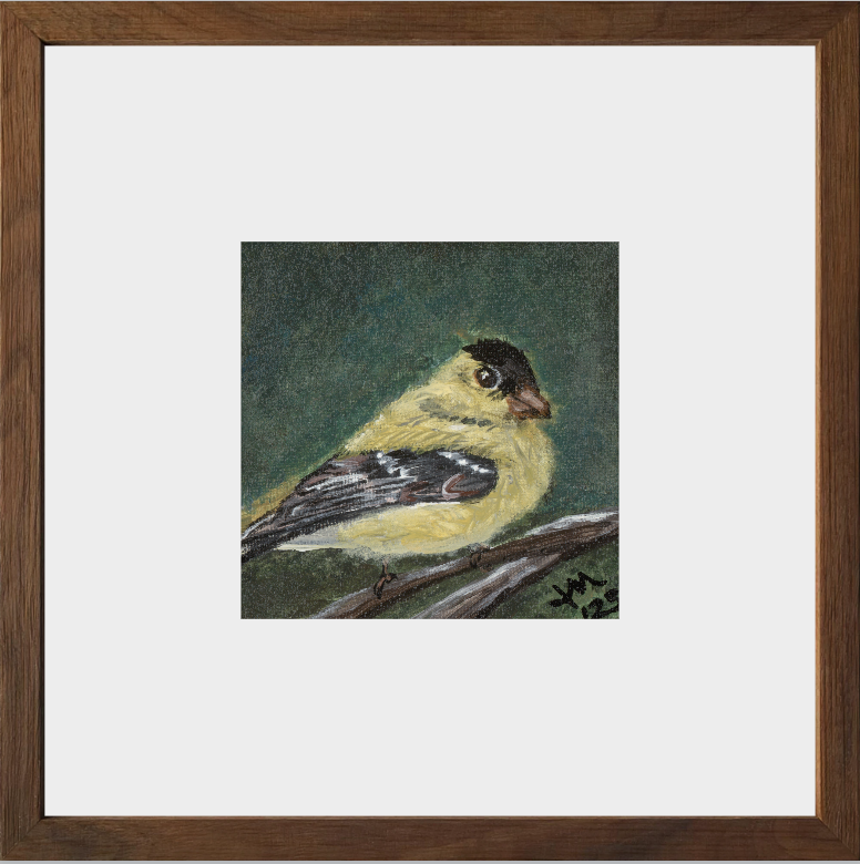 The Golden Joy (Goldfinch)