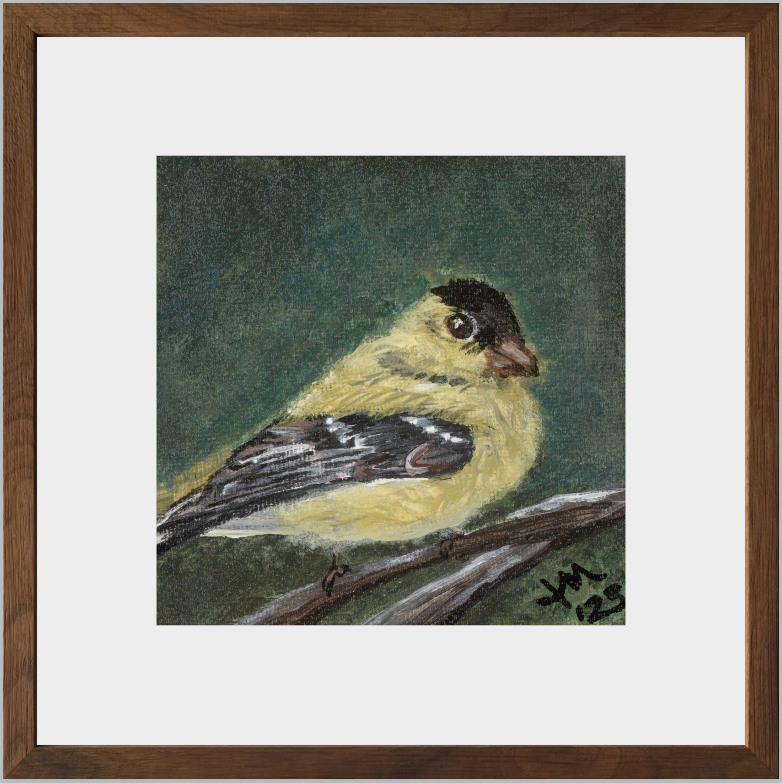The Golden Joy (Goldfinch)