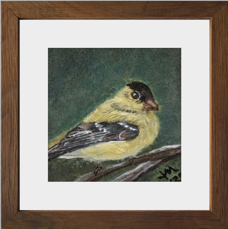 The Golden Joy (Goldfinch)