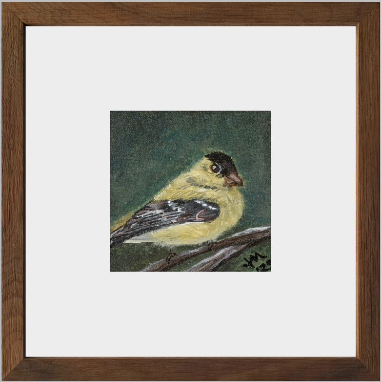 The Golden Joy (Goldfinch)