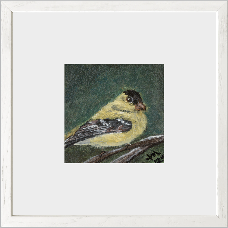 The Golden Joy (Goldfinch)