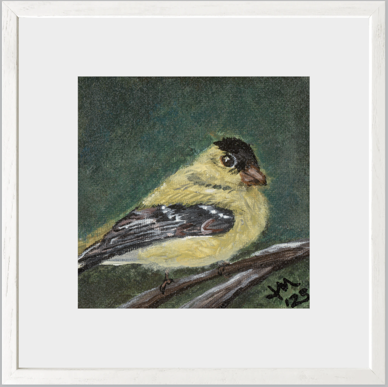 The Golden Joy (Goldfinch)