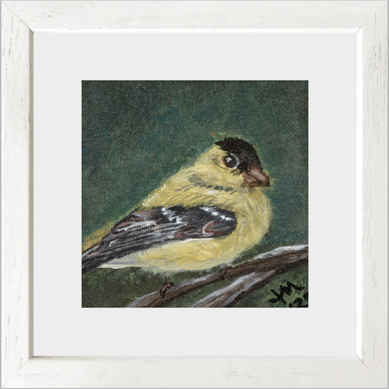 The Golden Joy (Goldfinch)