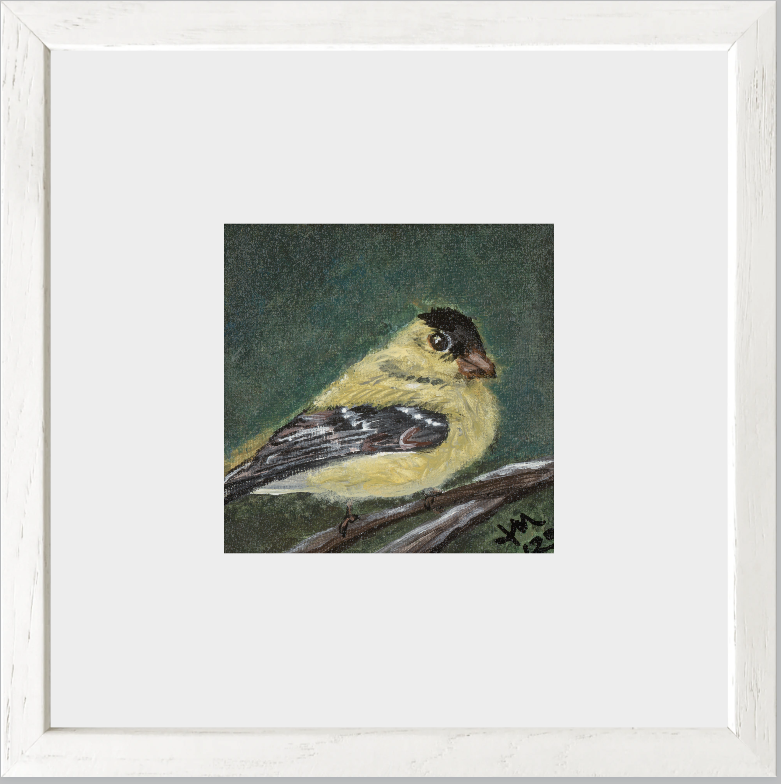 The Golden Joy (Goldfinch)