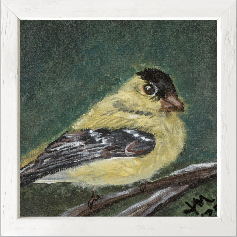 The Golden Joy (Goldfinch)