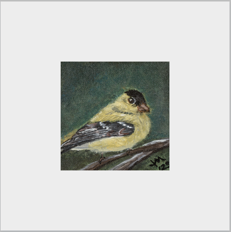 The Golden Joy (Goldfinch)