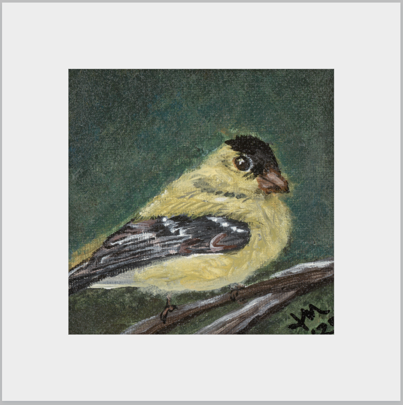 The Golden Joy (Goldfinch)