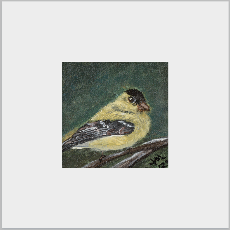 The Golden Joy (Goldfinch)