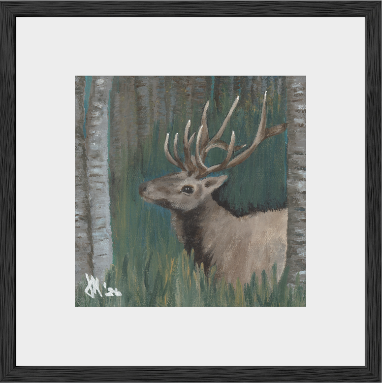 The Guardian (Bull Elk)