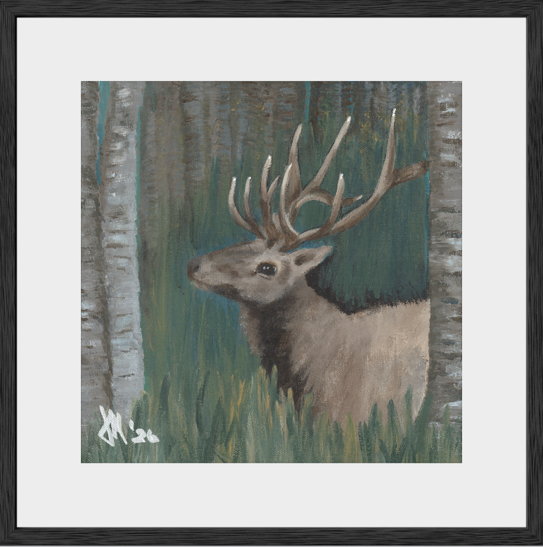 The Guardian (Bull Elk)