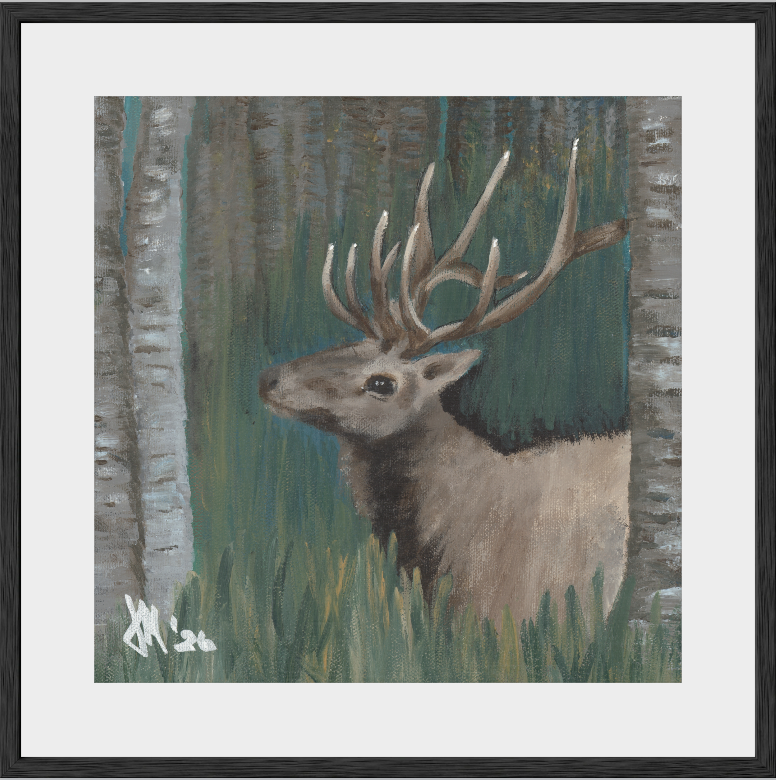 The Guardian (Bull Elk)