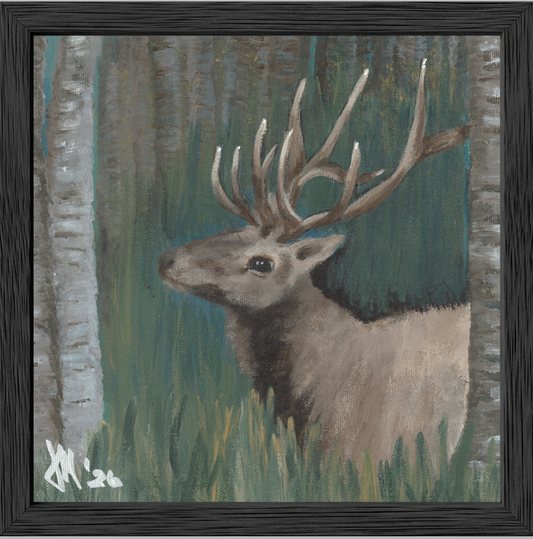 The Guardian (Bull Elk)
