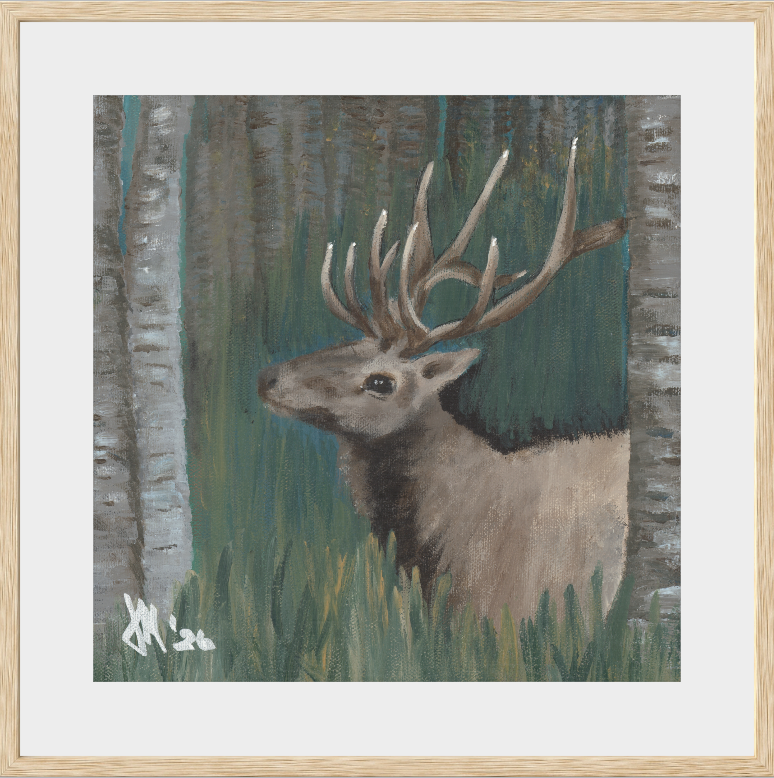 The Guardian (Bull Elk)