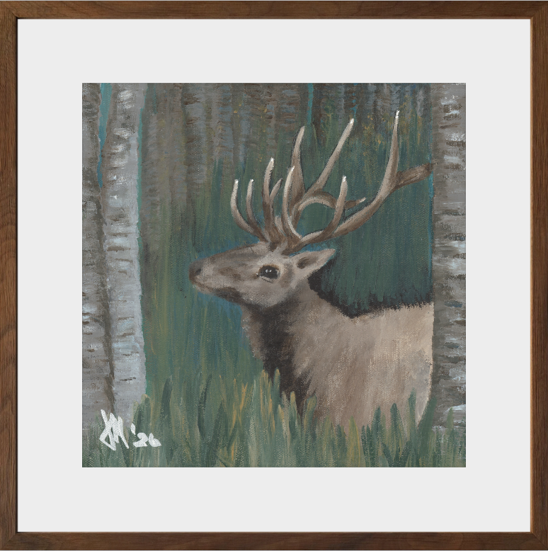 The Guardian (Bull Elk)