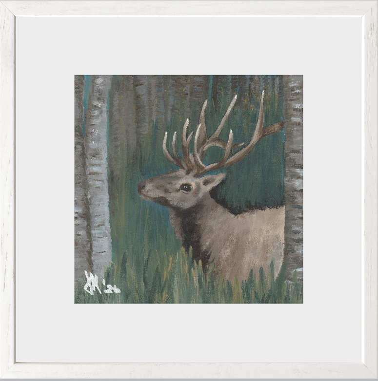 The Guardian (Bull Elk)