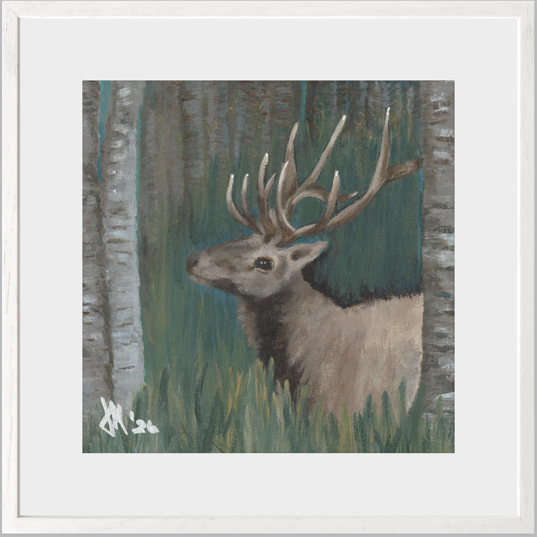The Guardian (Bull Elk)