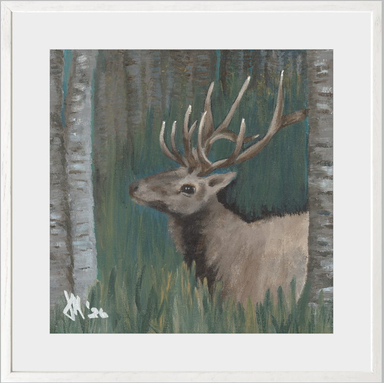 The Guardian (Bull Elk)