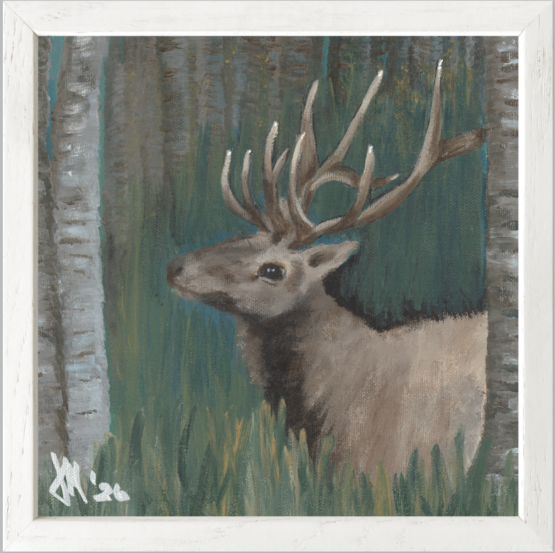 The Guardian (Bull Elk)