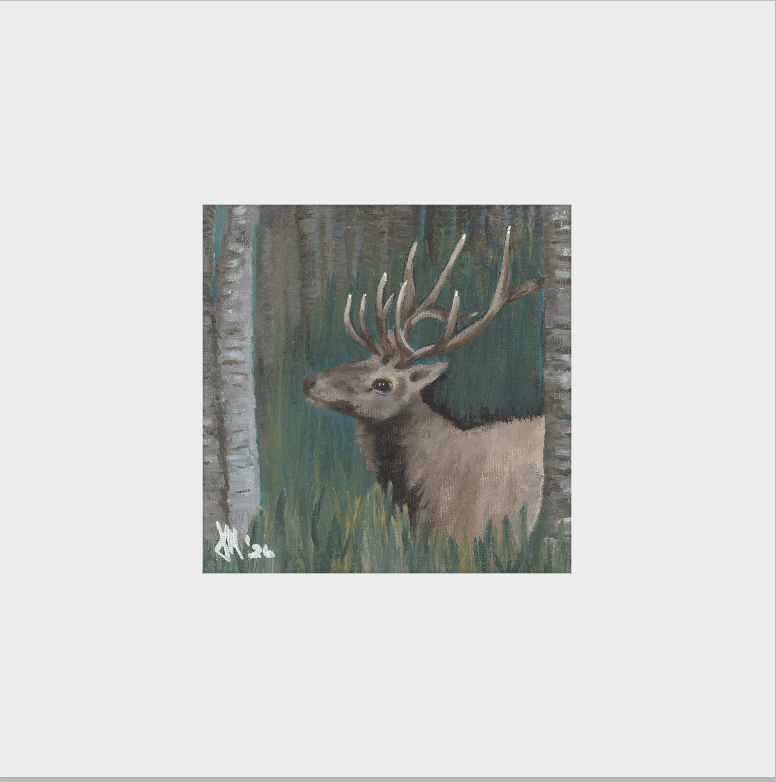 The Guardian (Bull Elk)