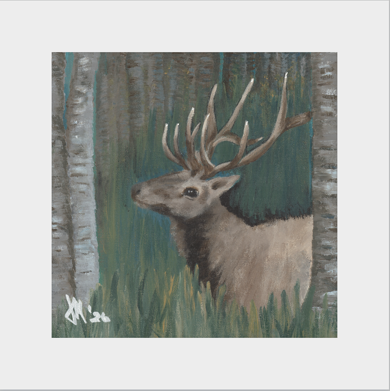 The Guardian (Bull Elk)