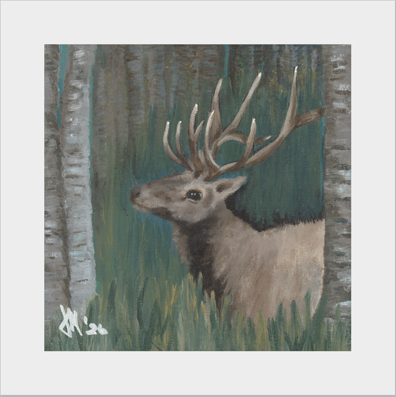 The Guardian (Bull Elk)