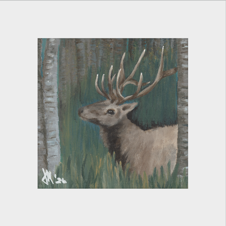 The Guardian (Bull Elk)