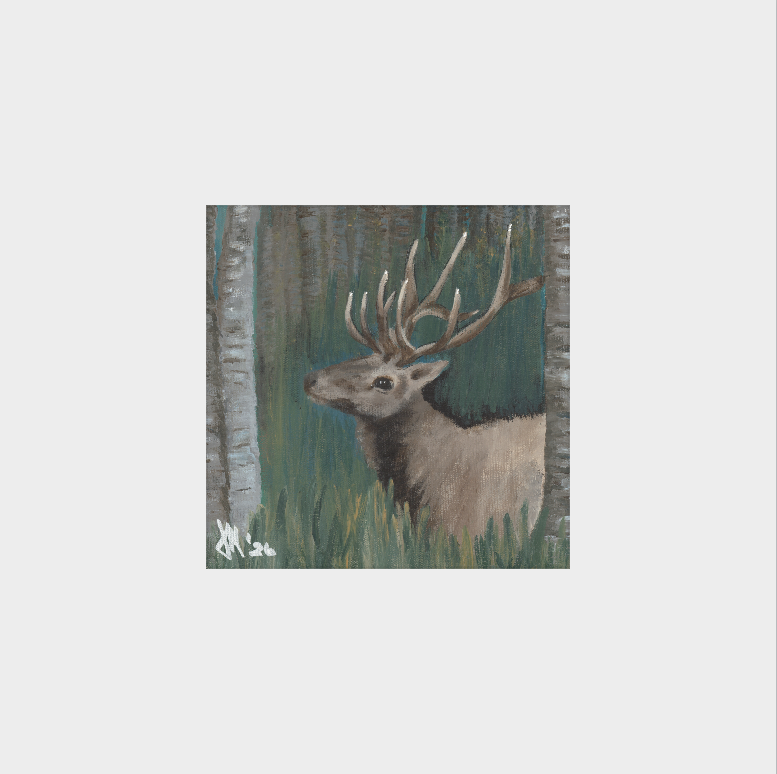 The Guardian (Bull Elk)