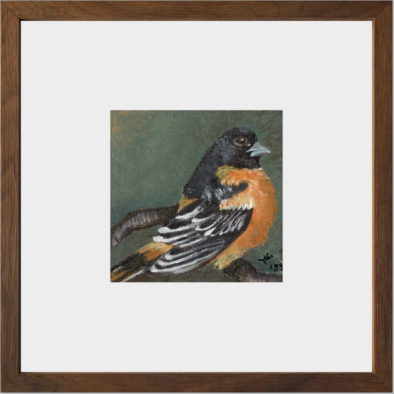 The Summer Flash (Baltimore Oriole)