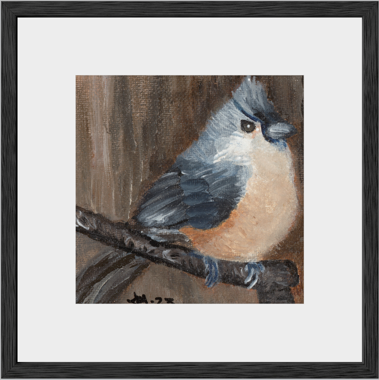 The Song of Serenity (Tufted Titmouse)