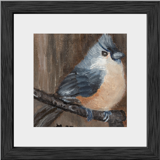 The Song of Serenity (Tufted Titmouse)
