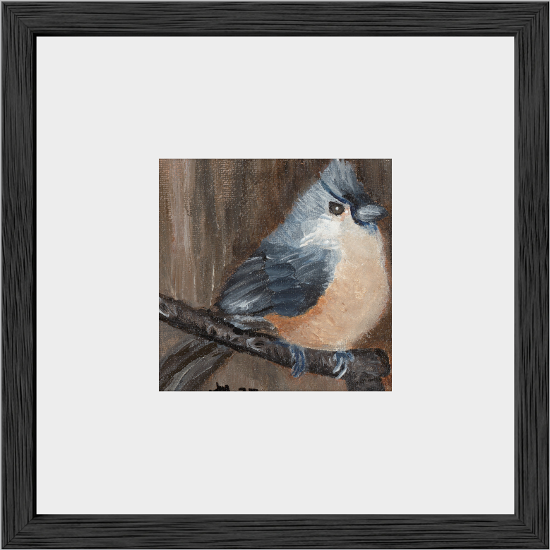 The Song of Serenity (Tufted Titmouse)