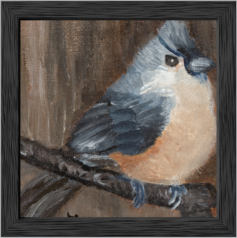 The Song of Serenity (Tufted Titmouse)