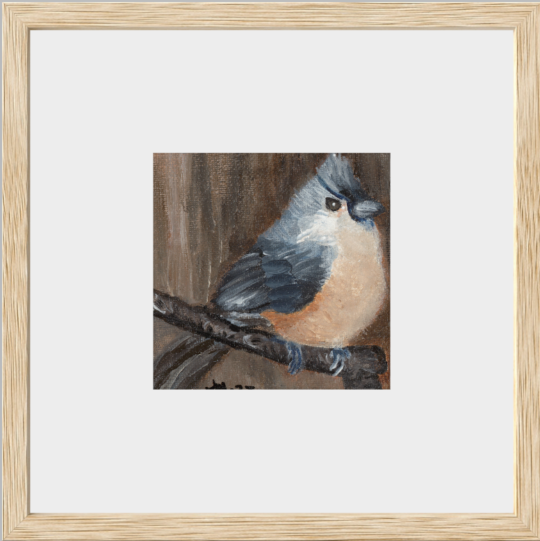 The Song of Serenity (Tufted Titmouse)