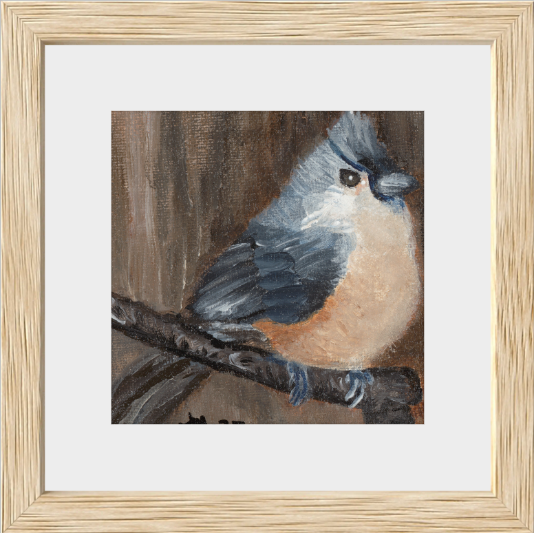 The Song of Serenity (Tufted Titmouse)