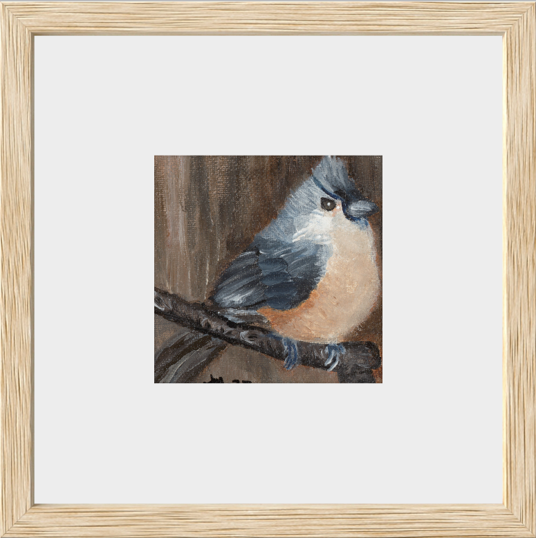 The Song of Serenity (Tufted Titmouse)