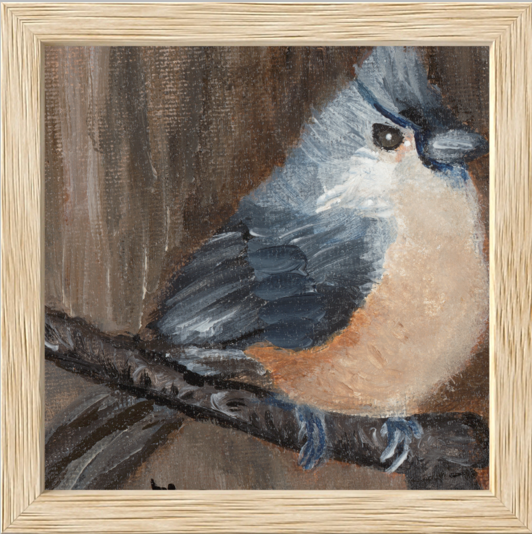 The Song of Serenity (Tufted Titmouse)