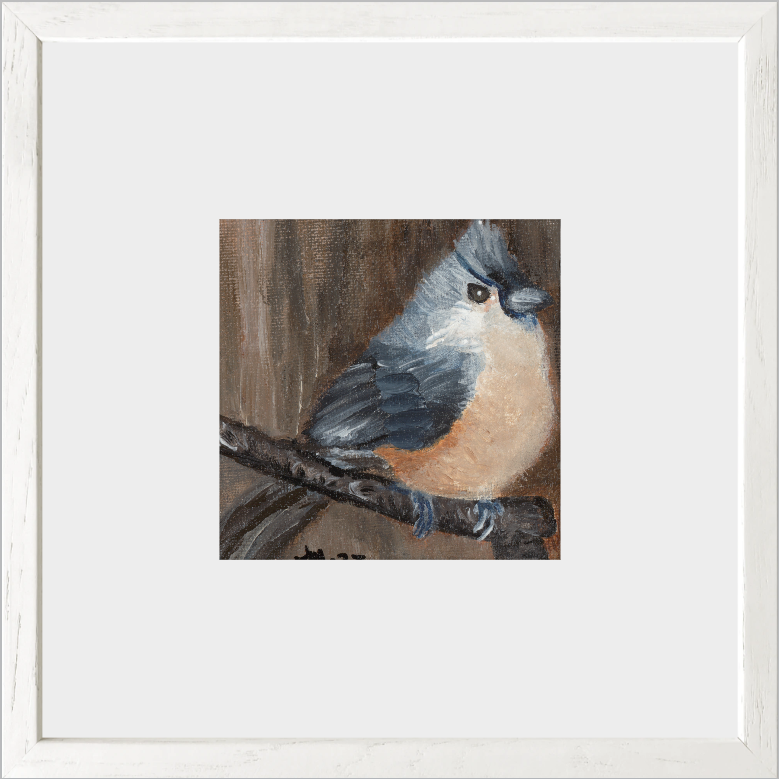 The Song of Serenity (Tufted Titmouse)