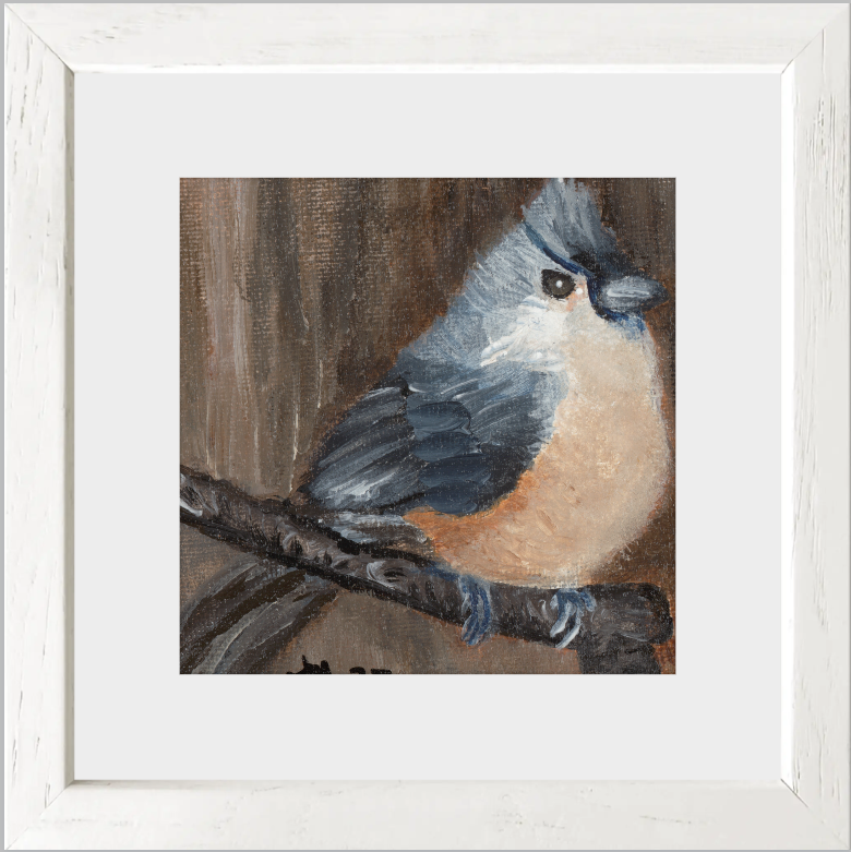 The Song of Serenity (Tufted Titmouse)