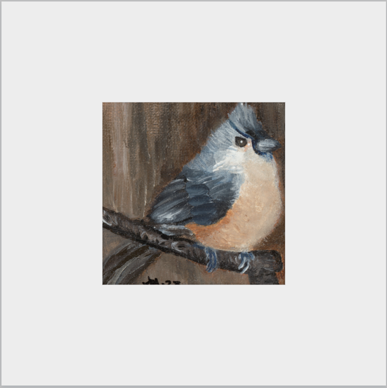 The Song of Serenity (Tufted Titmouse)