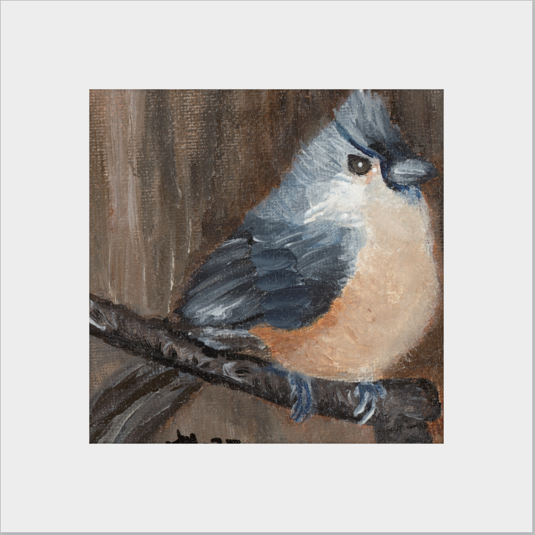 The Song of Serenity (Tufted Titmouse)