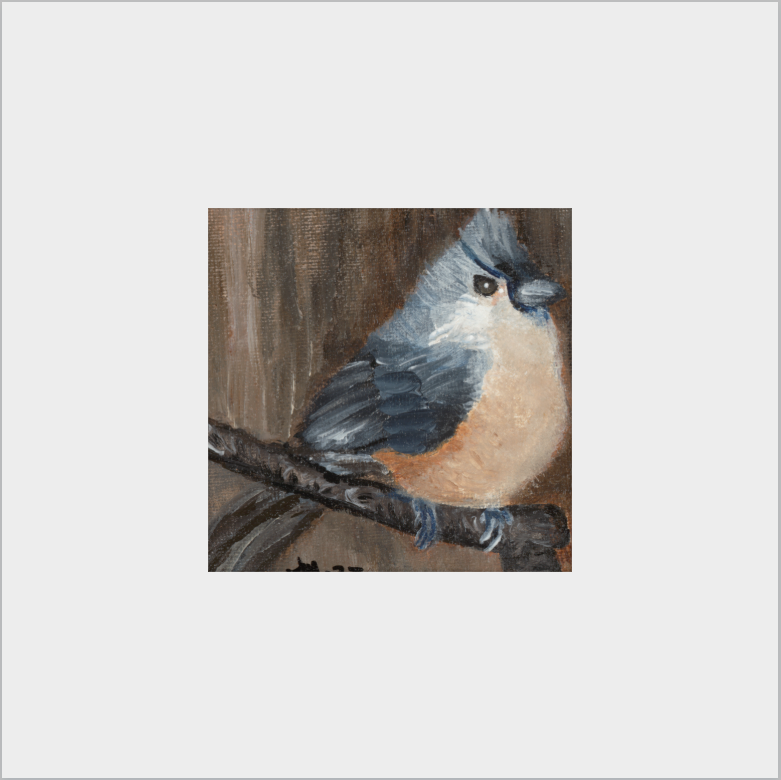 The Song of Serenity (Tufted Titmouse)
